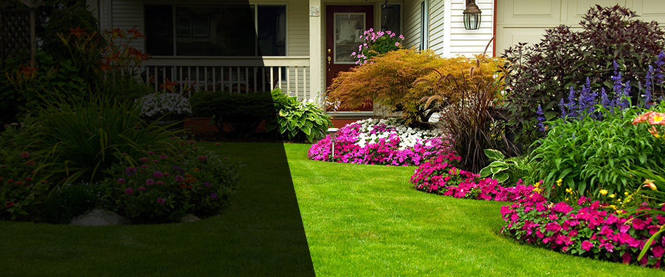 Gilbert Landscapers