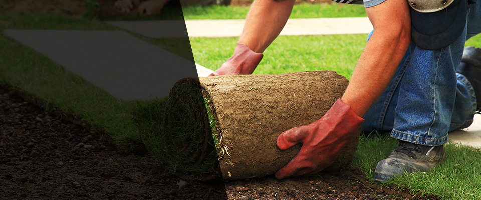Gilbert Landscapers
